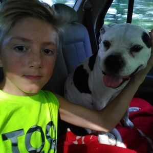 Meet your Posher, Matt